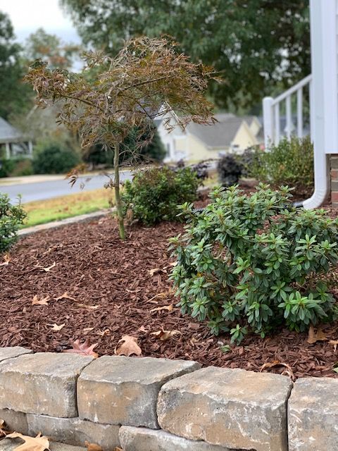 Front yard garden bed with mulch, shrubs, and a small tree bordered by stone blocks