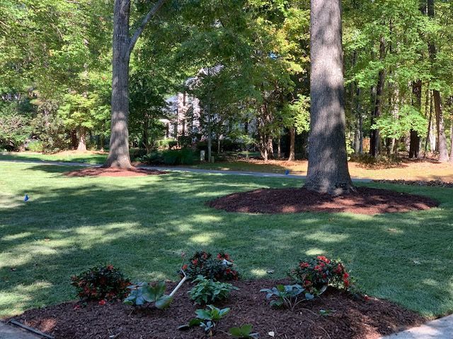 Sunlit backyard lawn with tall trees, shrubs, and a small flower bed in the foreground