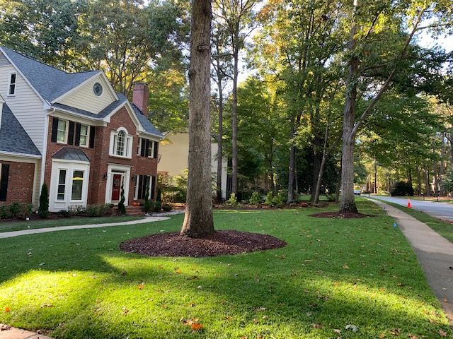 Brick house with white trim beside a tree-lined lawn and sidewalk on a sunny day