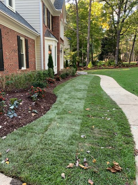Curved concrete sidewalk beside a brick house and frosty green lawn with trees in the background