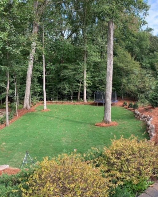 Lush green lawn bordered by trees, shrubs, and red mulch in a wooded backyard setting