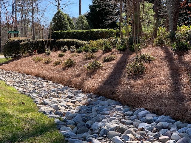 Mulched roadside landscaping with trimmed shrubs, a tree, and a sidewalk beside a street