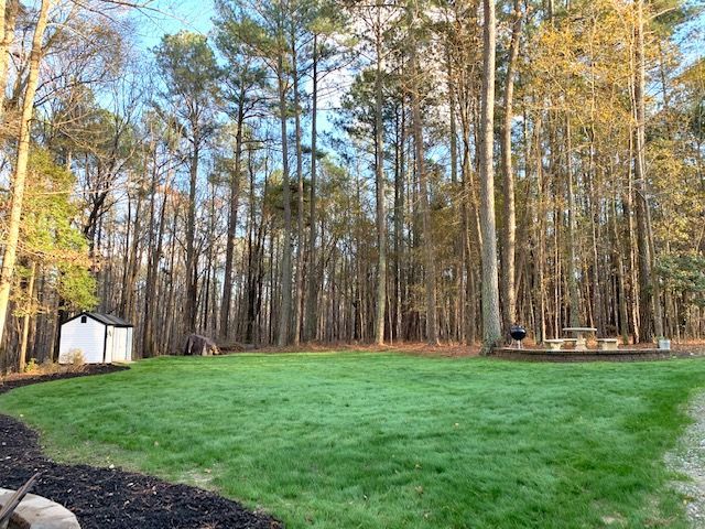Backyard lawn beside tall pine trees, with a white shed on the left and a picnic table in the distance