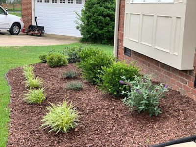 Freshly landscaped front yard bed with mulch, small shrubs, and a house exterior