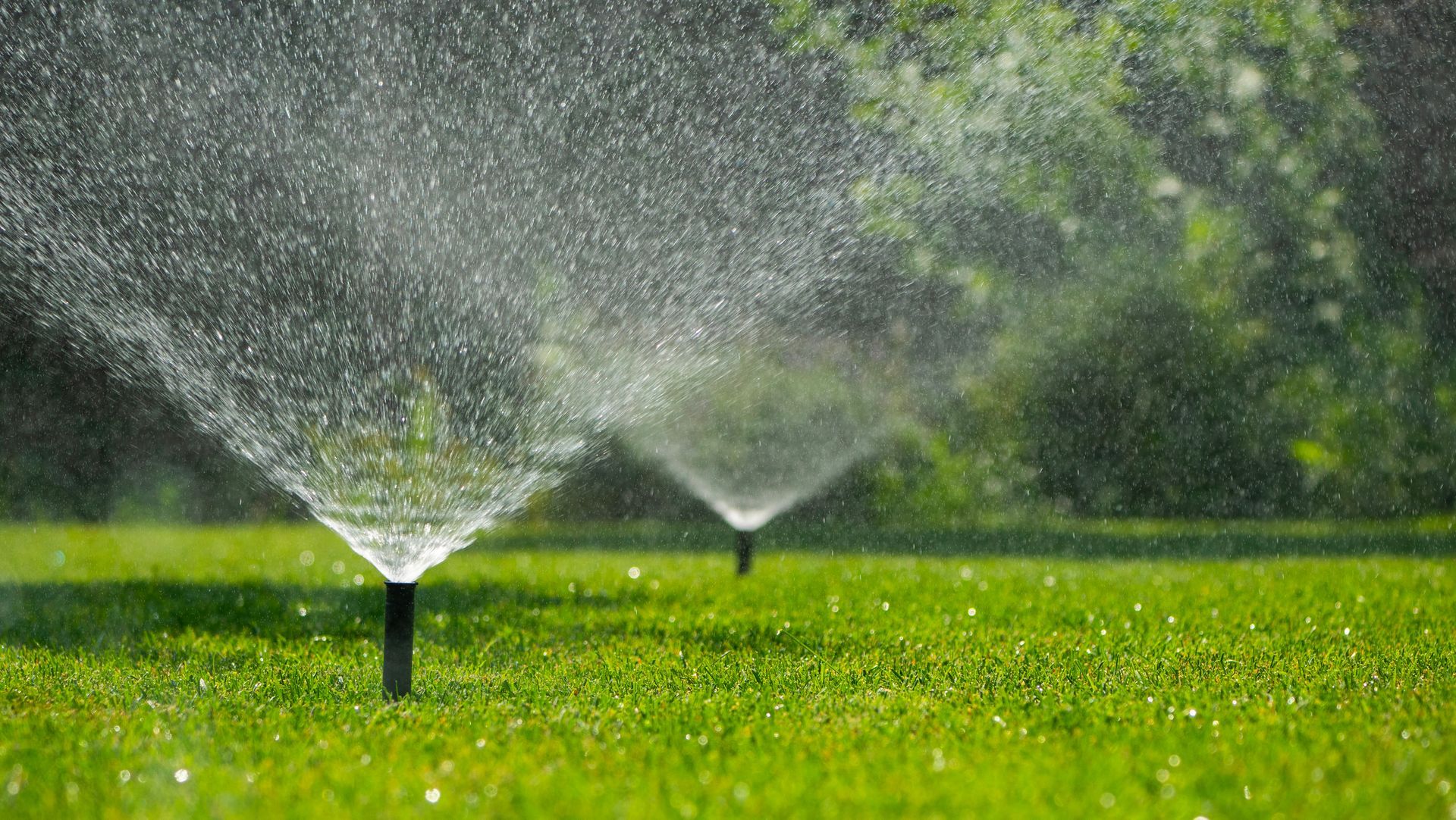 Sprinklers spraying water over a bright green lawn in sunlight