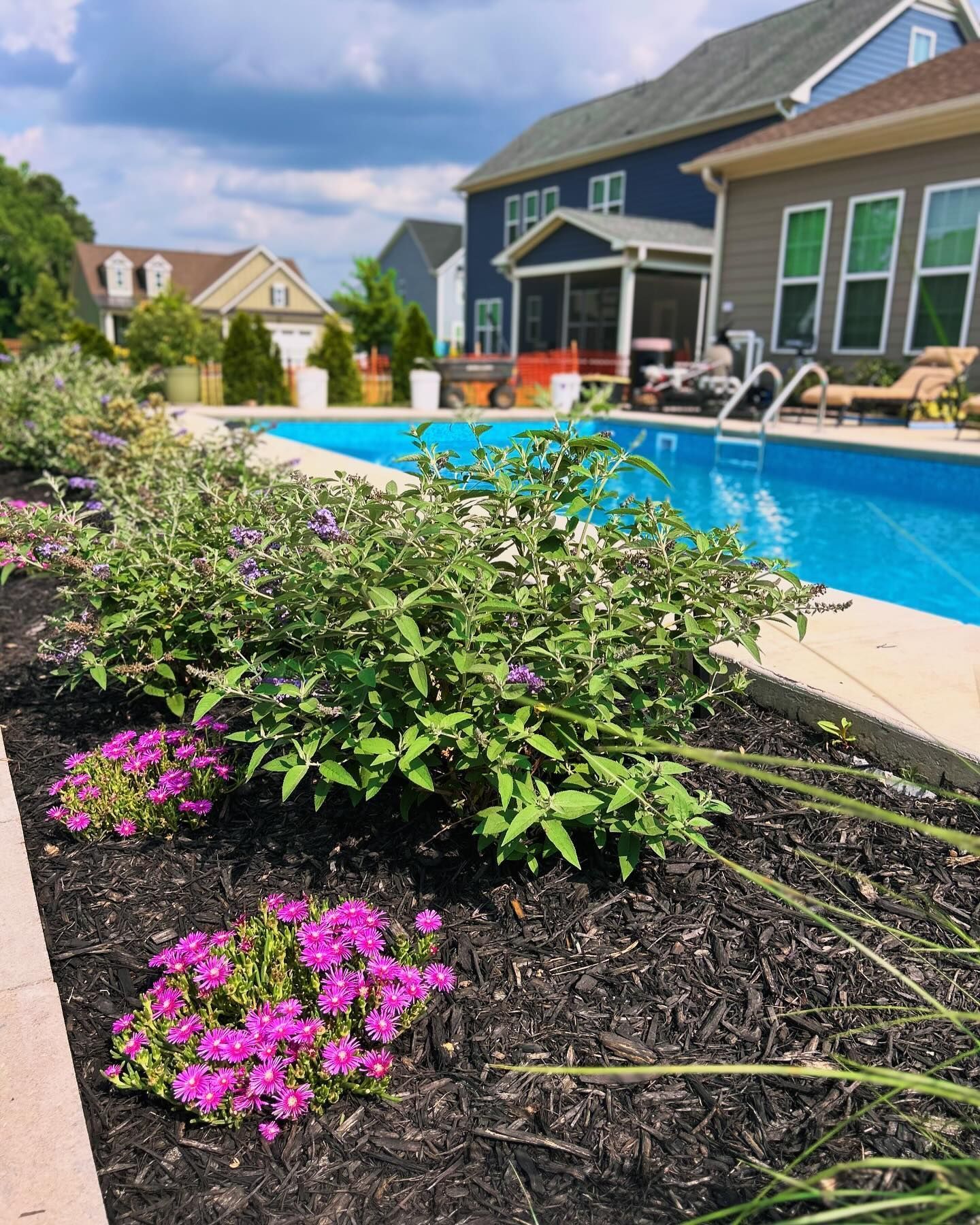 Backyard pool with blue water, patio chairs, and pink flowers in the foreground