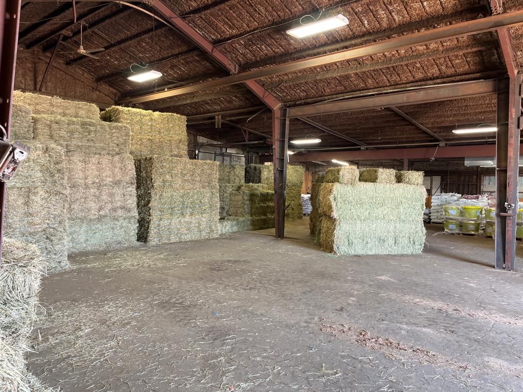 Gallery Dalhart, TX Loewen Farms