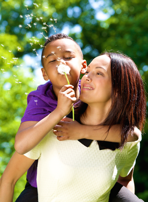 Virginia-Family-Law-Attorney