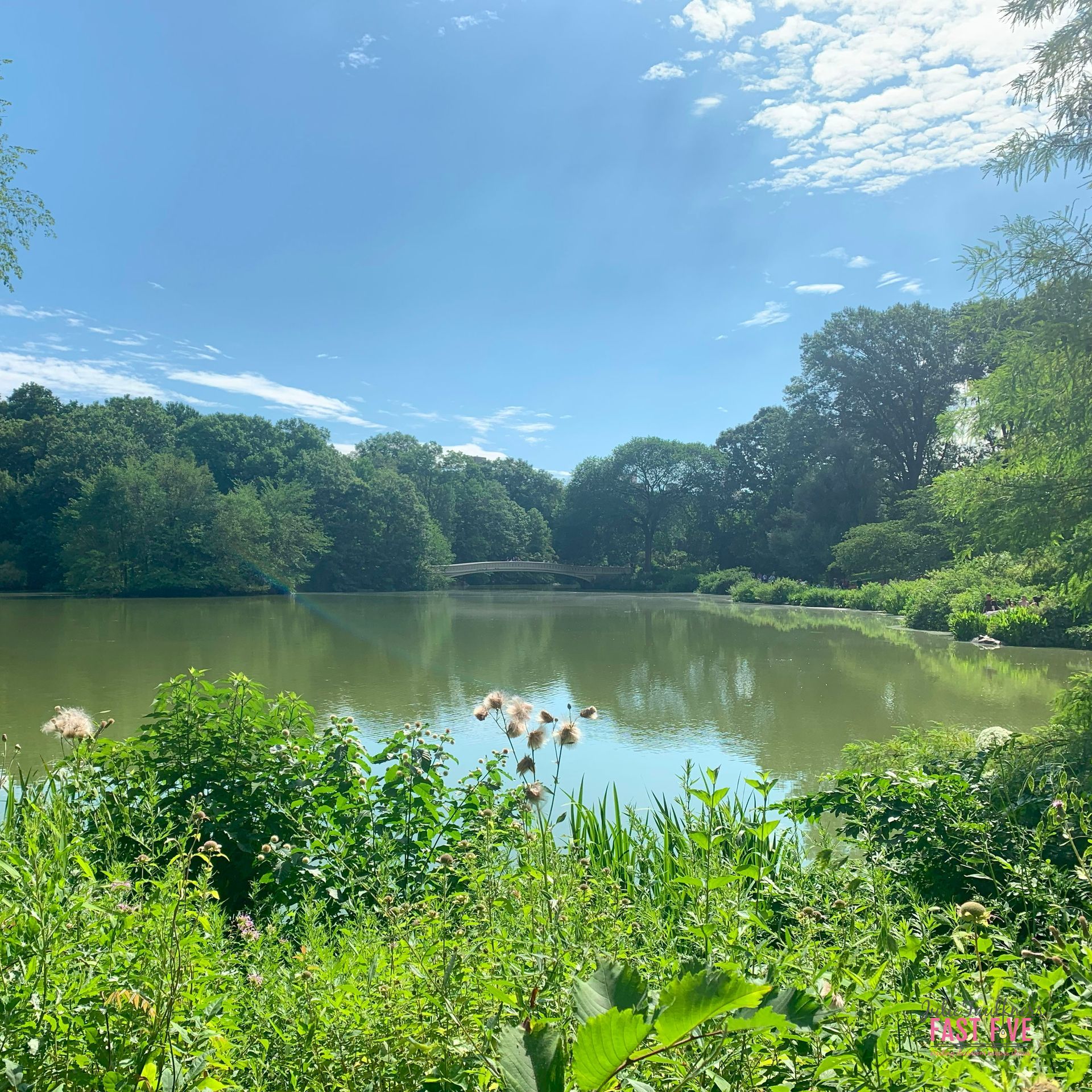 What My Trip to New York Taught Me About Teaching