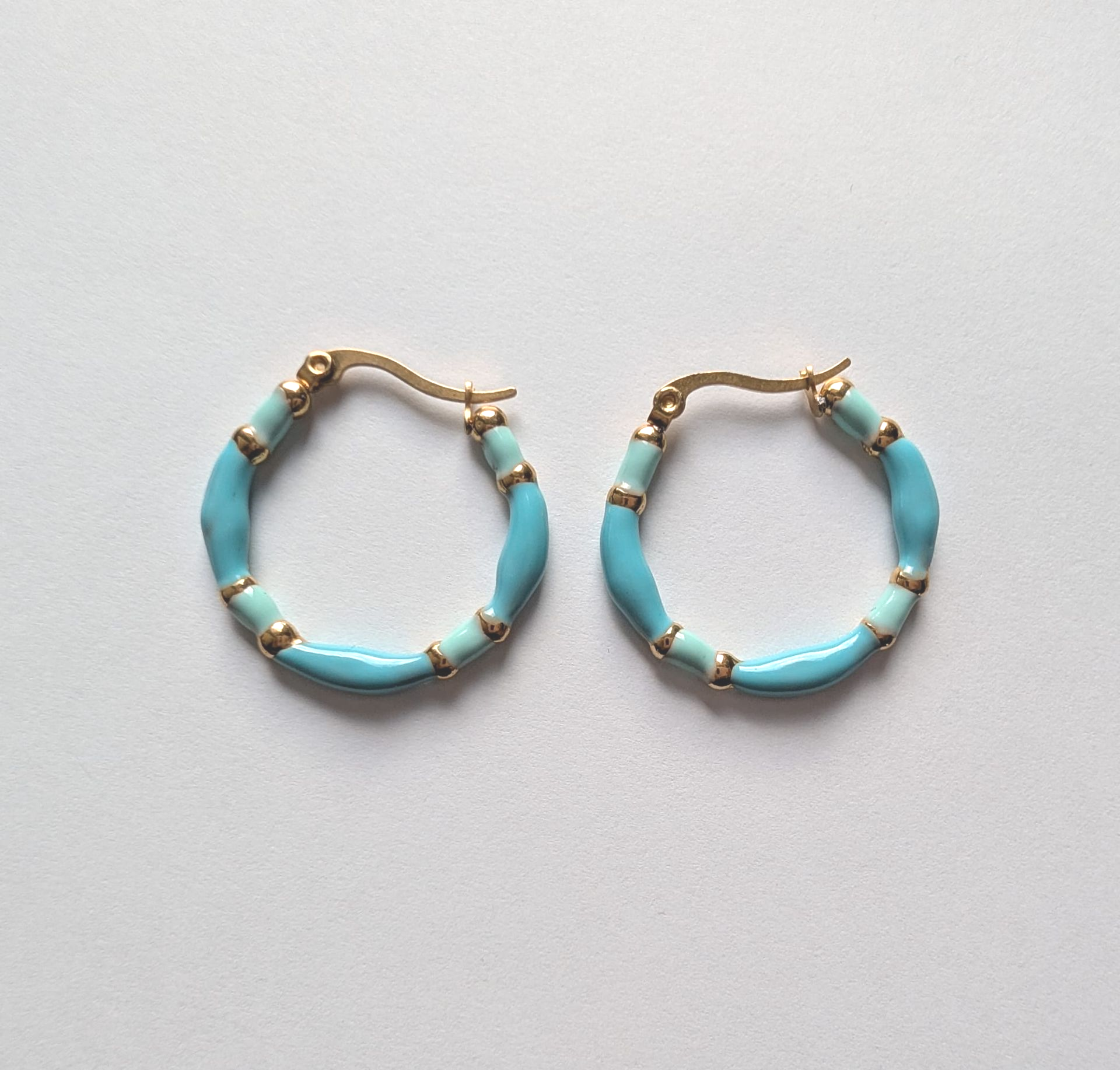 Ocean Loop Earrings