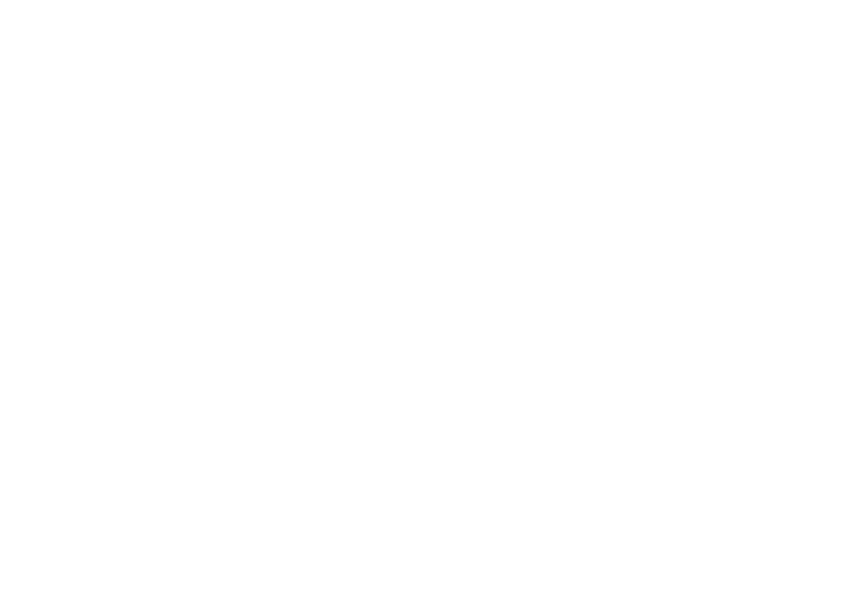 icon zug