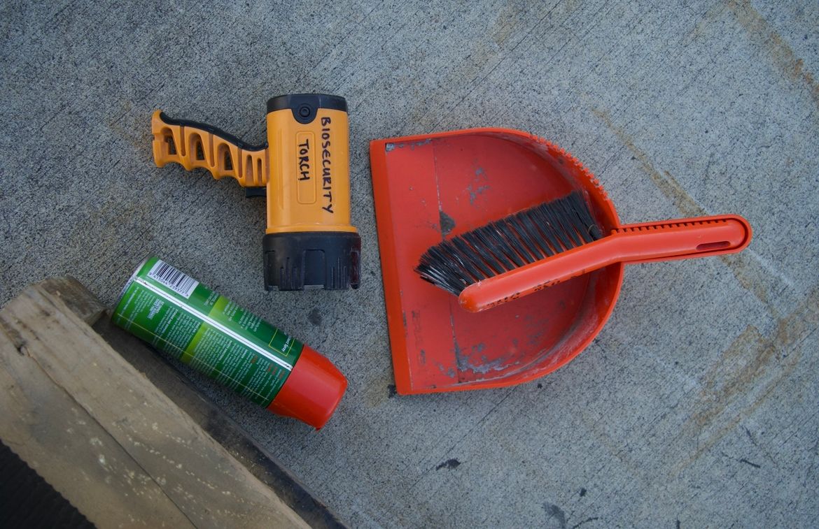 pallet wrappers on casual basis