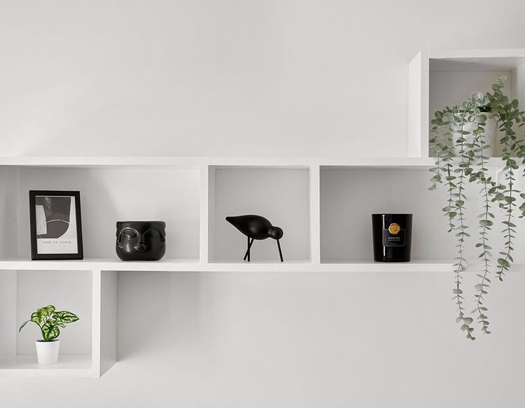 Minimal white wall shelves with small decor, plants, and a hanging vine in a bright room