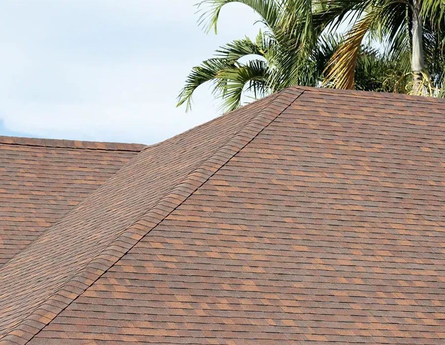 Shingled roof with a ridge line, framed by palm trees against a blue sky
