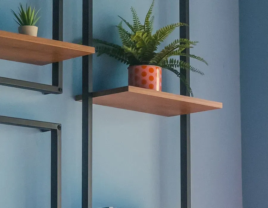 Two potted plants on wooden wall shelves against a light blue wall