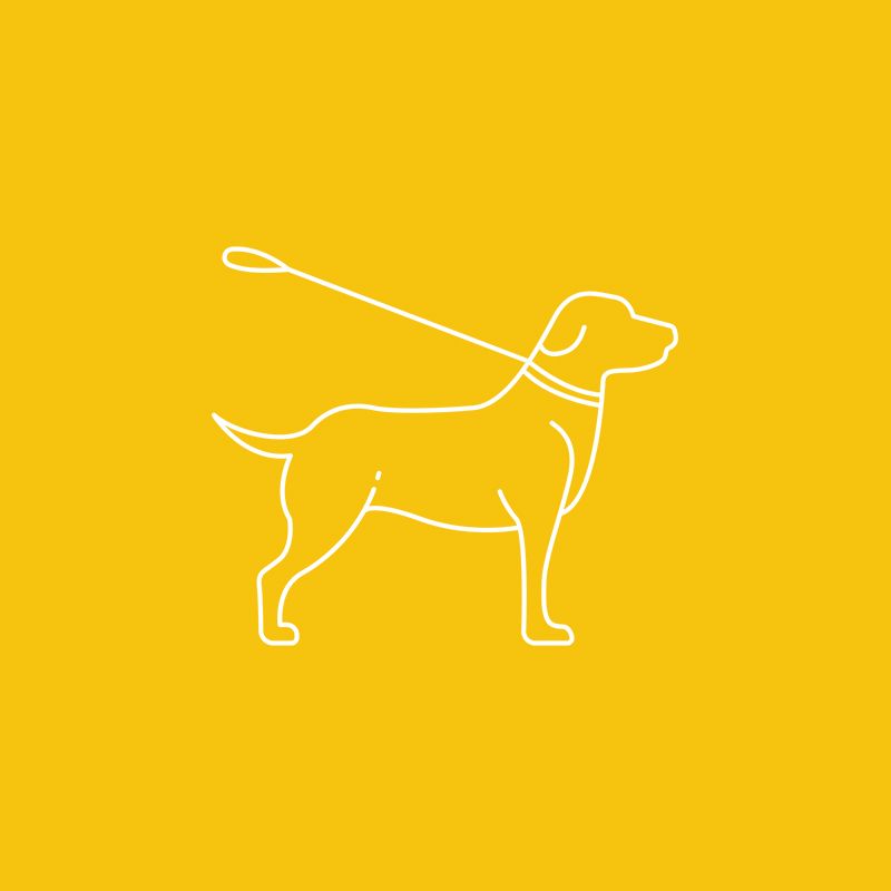 Four Way Kennels Dog Motel Dog in Bundaberg