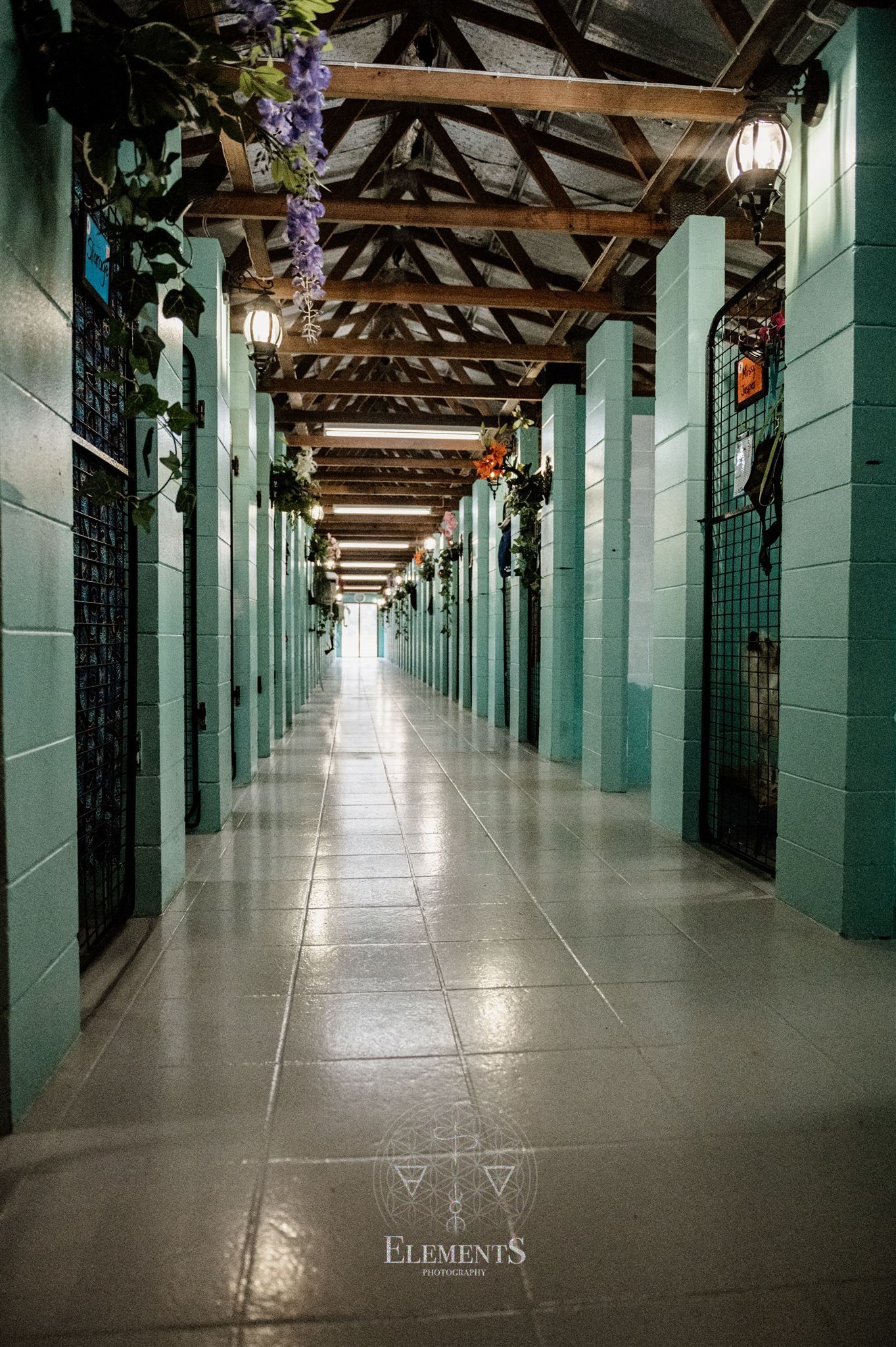 Dog Boarding Kennels Bundaberg Qld at Katherine Kilmer blog