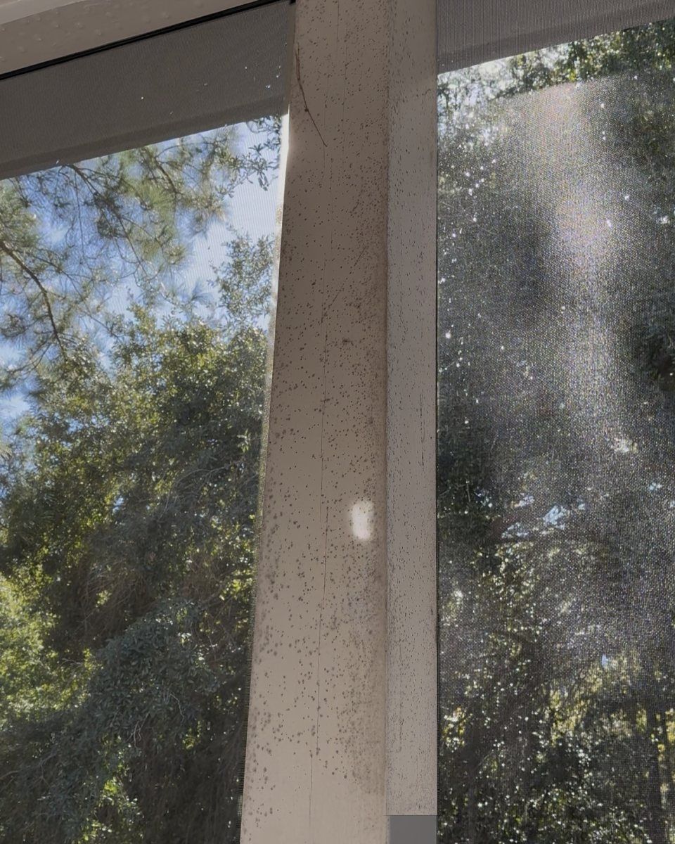 The same porch column and trim covered in black mildew before cleaning