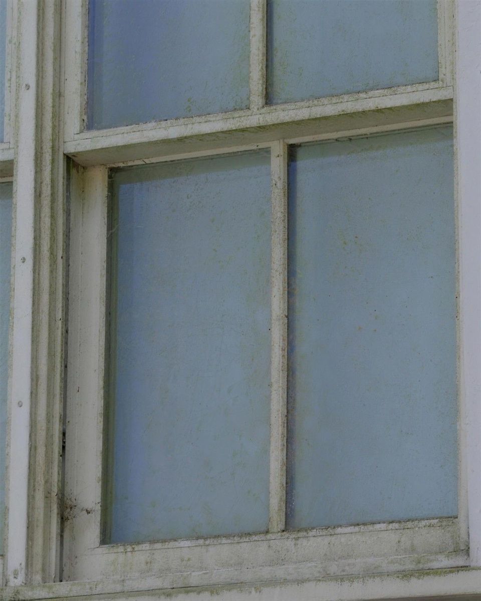 The same window covered in green growth before cleaning