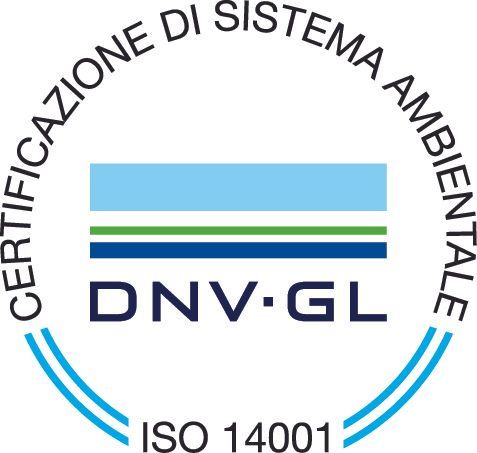 Logo della certificazione di gestione ambientale DNV ISO 14001 con dettagli blu e verdi