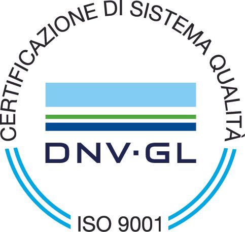 Logo di certificazione del sistema di qualità DNV ISO 9001 con dettagli blu e verdi