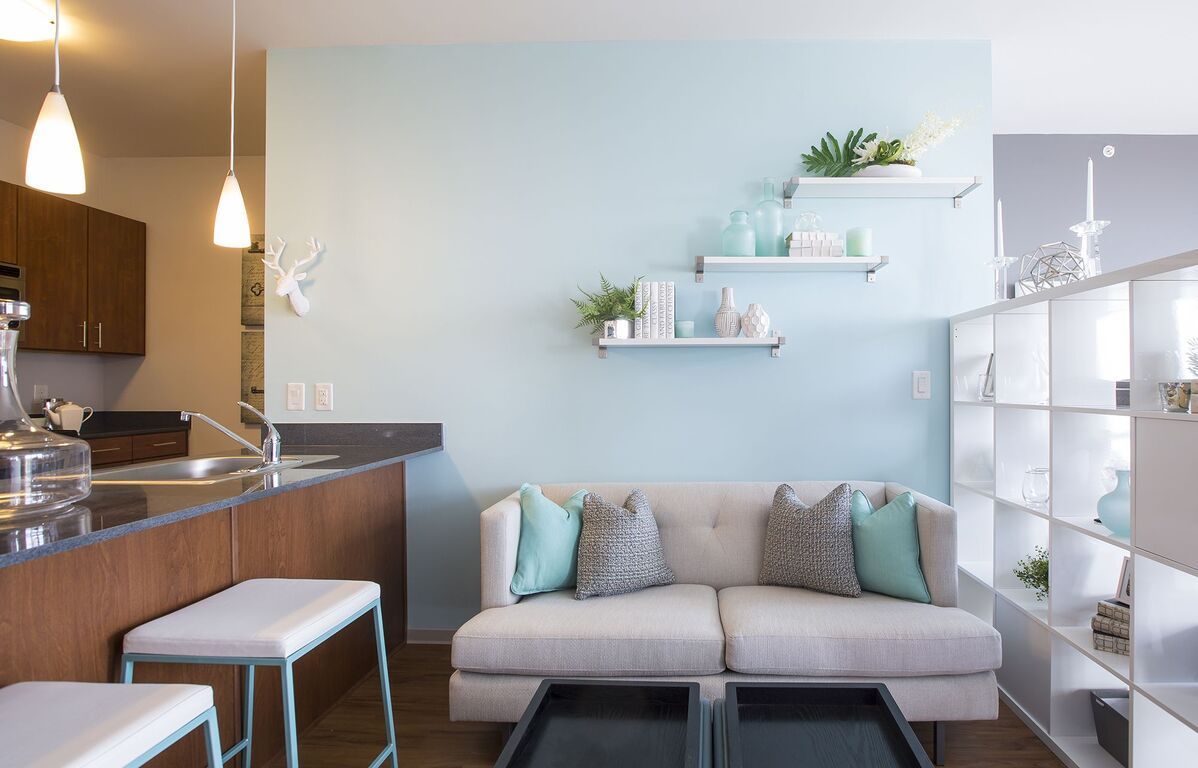 Apartment Amenities