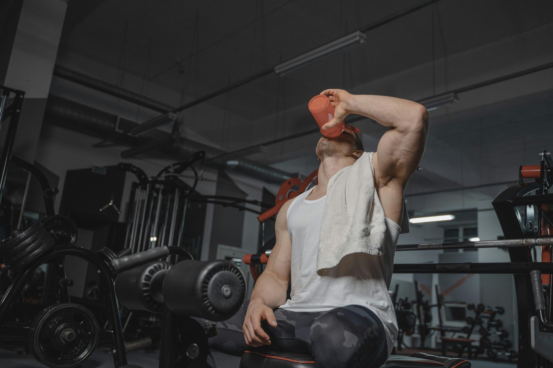 O consumo de creatina para hipertrofia muscular vem ganhando destaque nas academias.