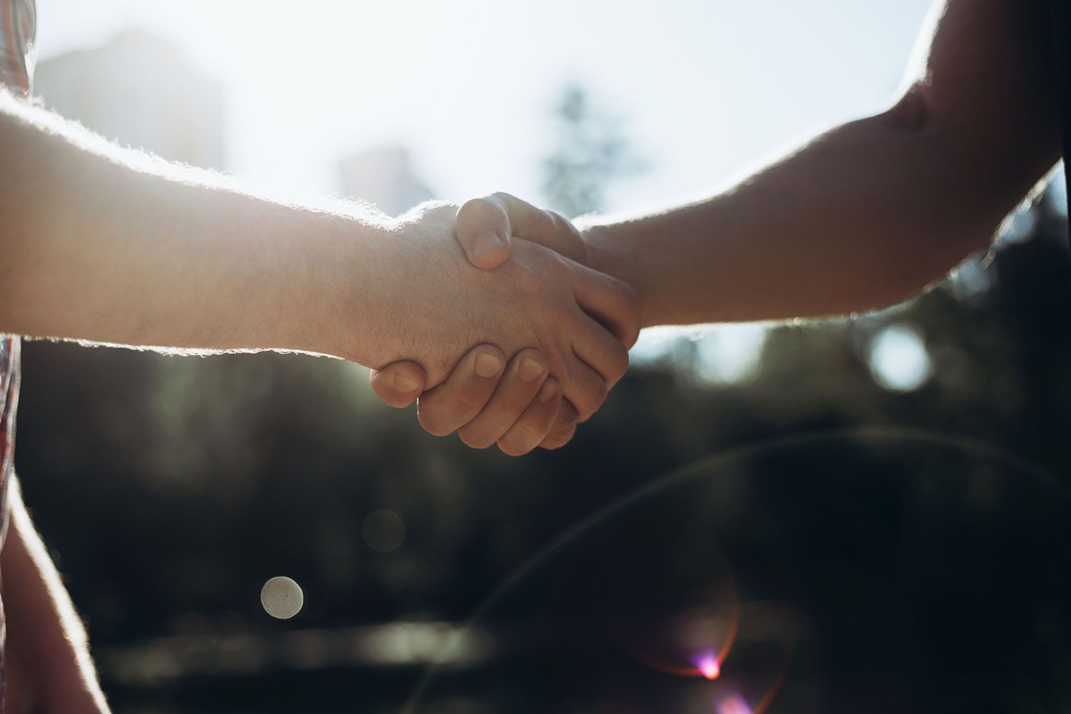 Two people shaking hands against a bright, out-of-focus outdoor background.