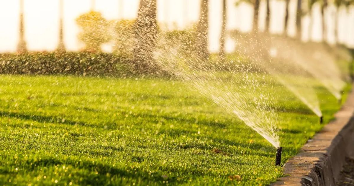 Water Management | Build Buddy World