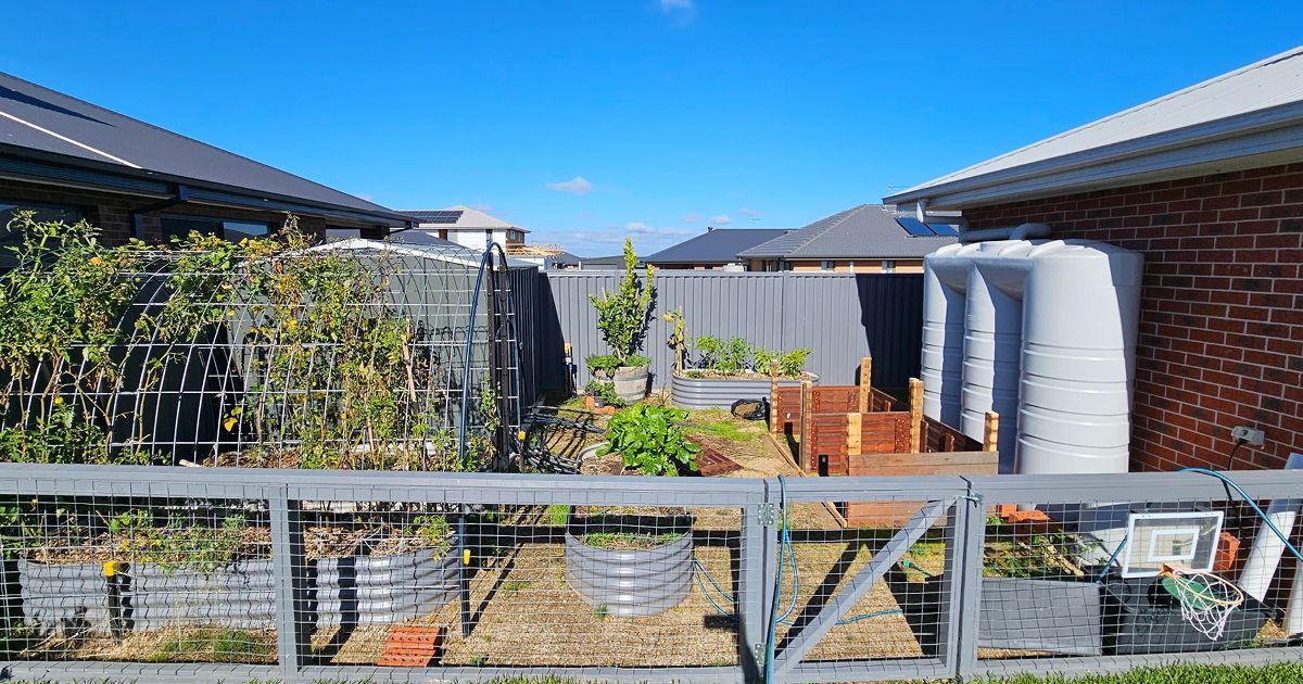Rainwater tank and compost garden side by side for wildlife | Build Buddy World
