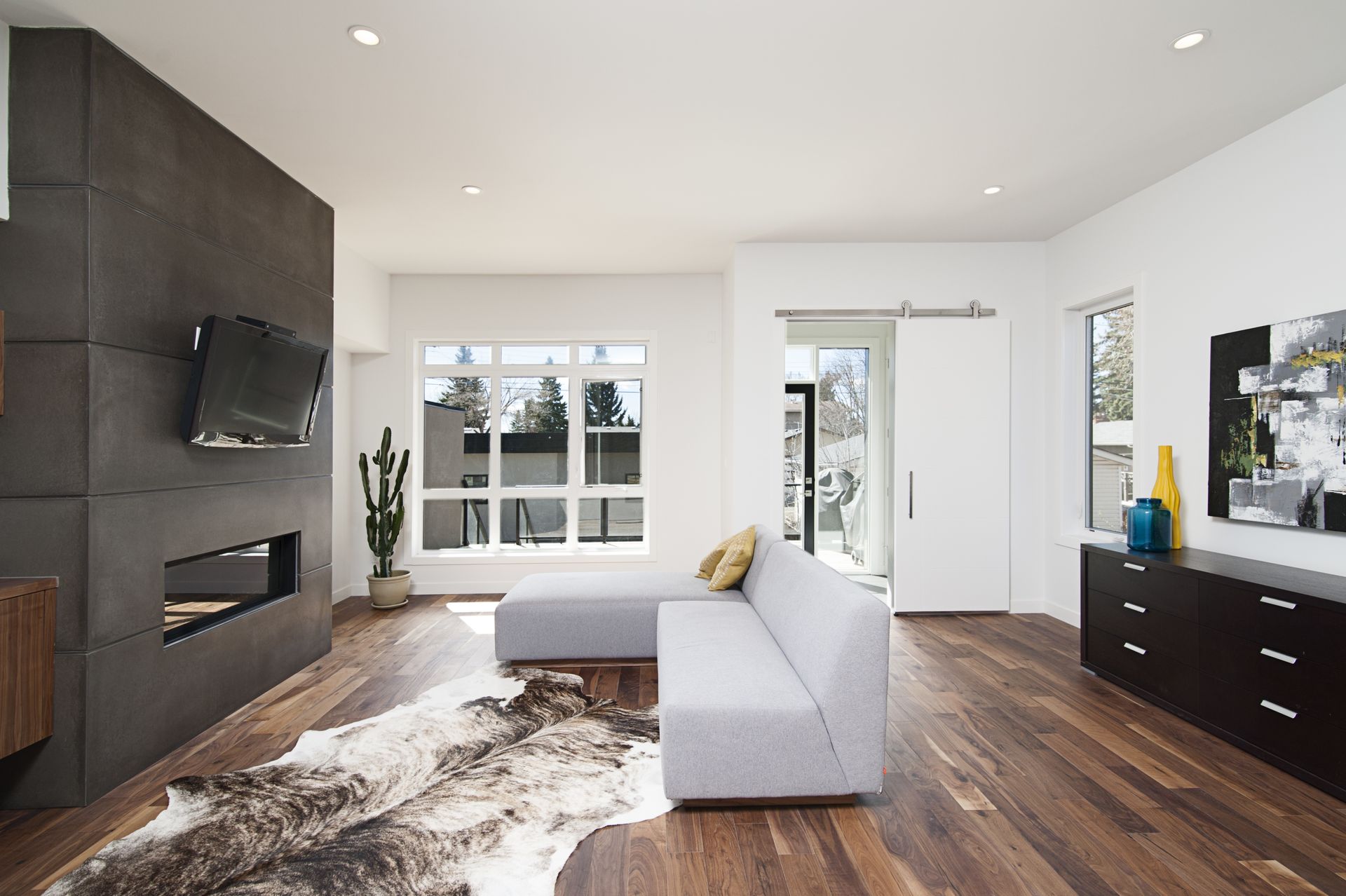 Cascade 25 - A modern wooden floor living room with a couch and a carpet facing the television.
