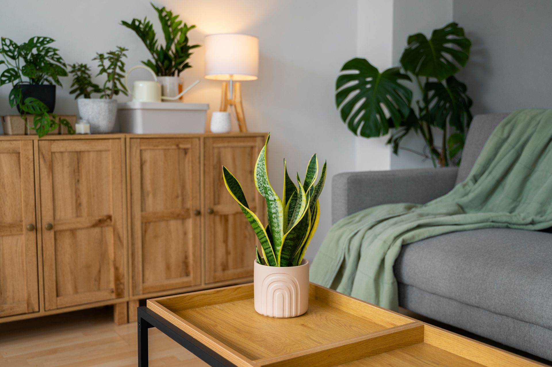 Riverview 1 home design of a potted plant is sitting on a wooden table in a living room.