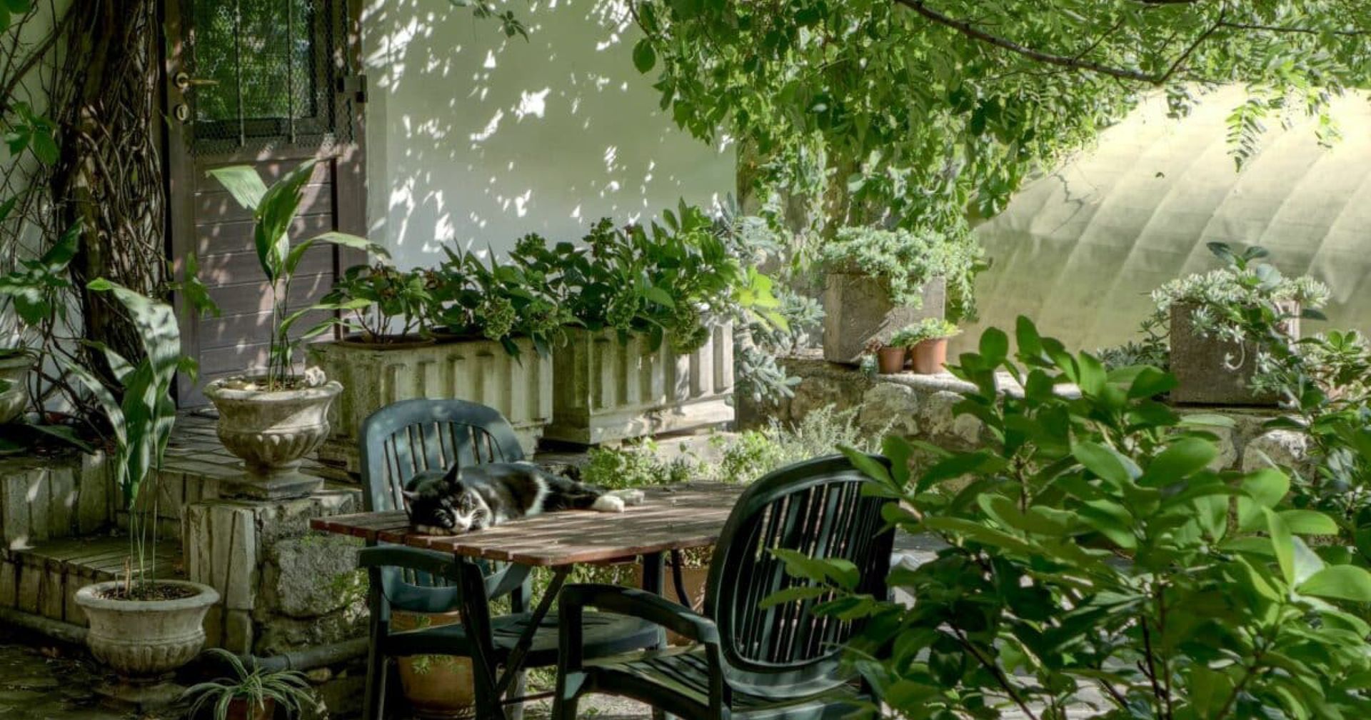 Garden Spaces with Build Buddy World