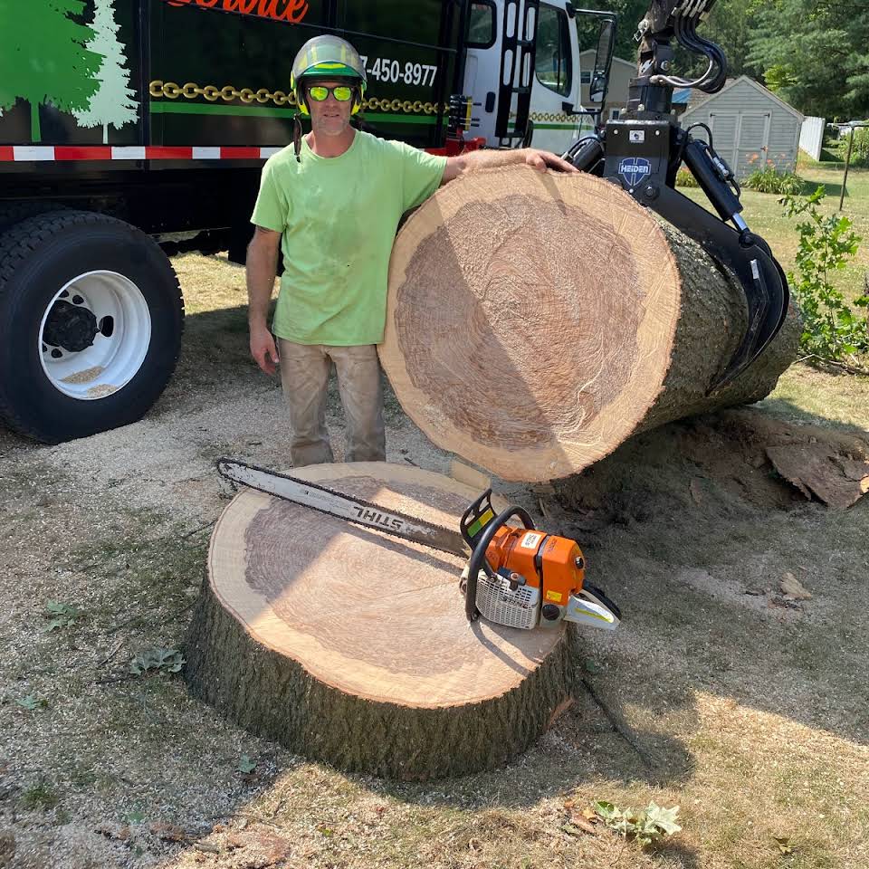 Tree Care Lebanon, PA Umberger’s Tree Service