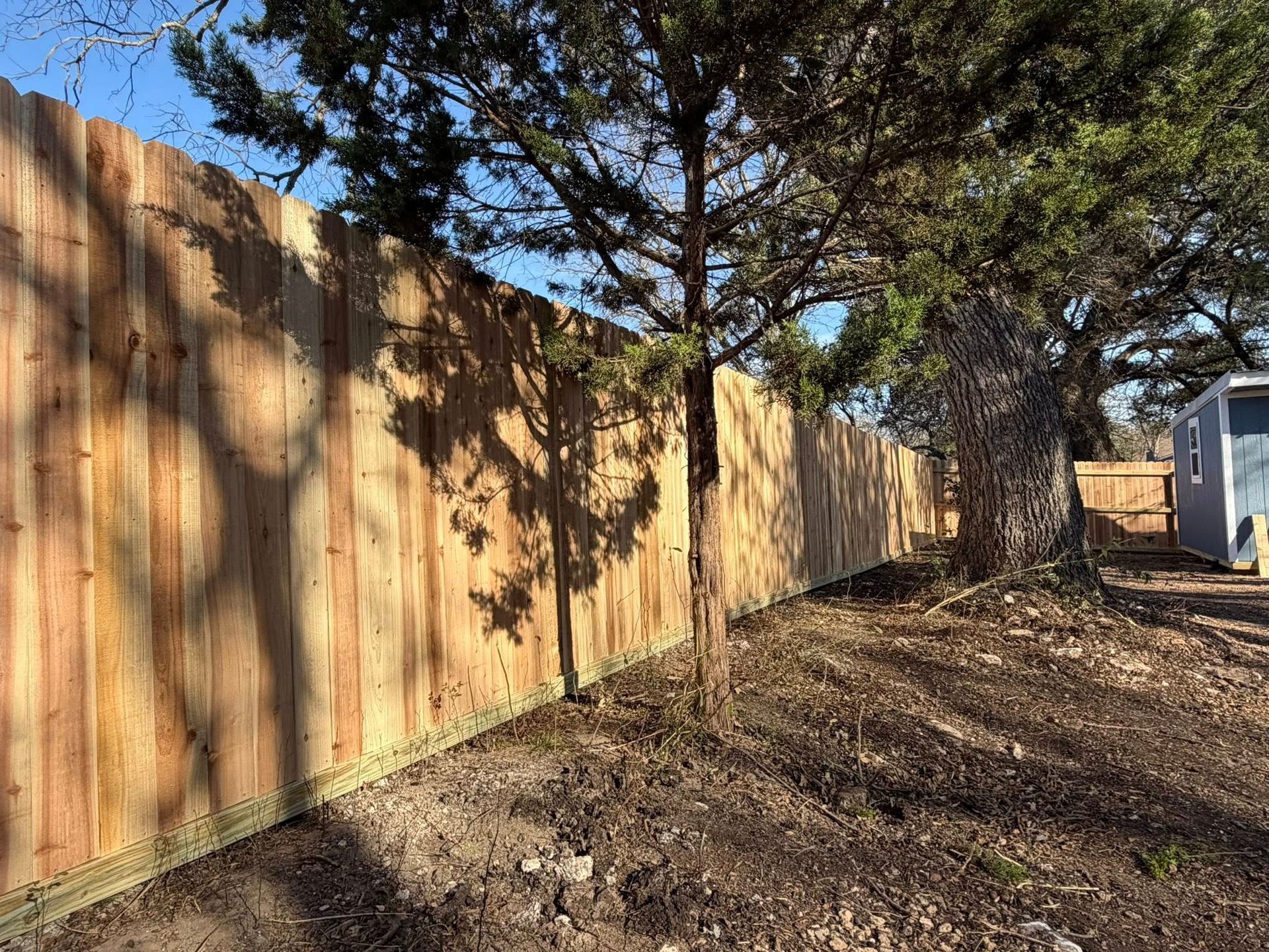 Wooden fence beside a dirt path under trees, with sunlight and a small shed in the background.