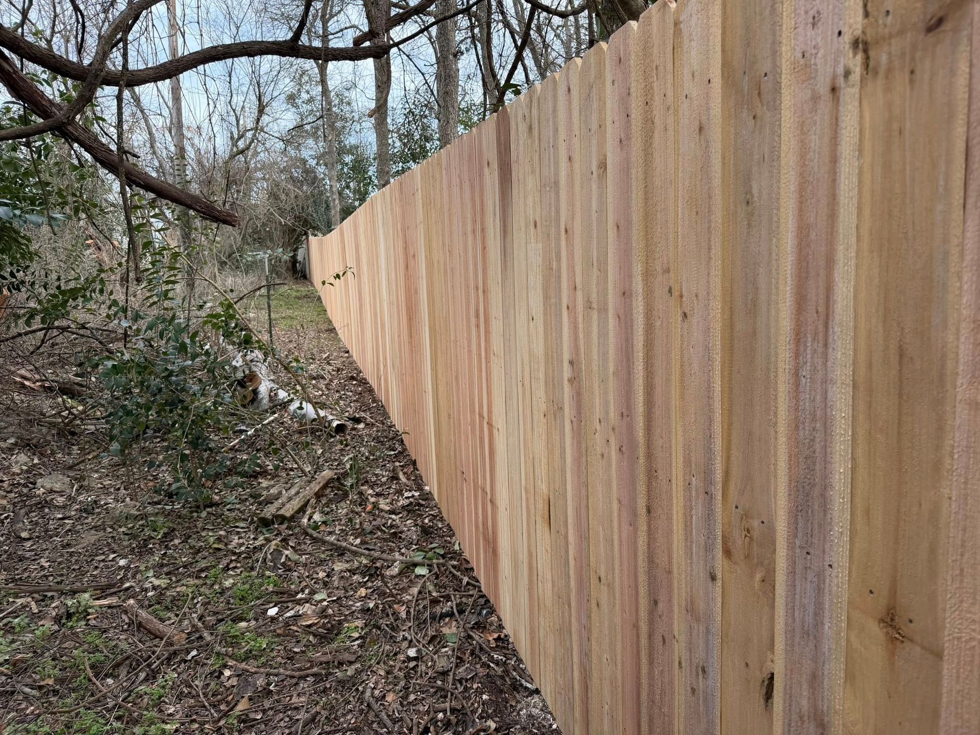 Tall tan wooden fence along a wooded path in a leafless outdoor area