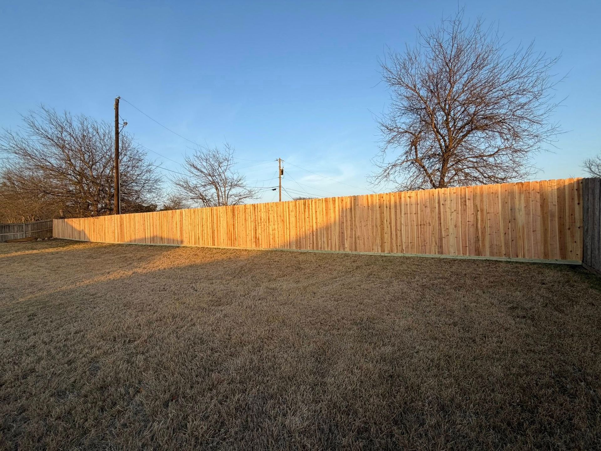 Sunlit wooden fence along a grassy yard with bare trees under a clear blue sky