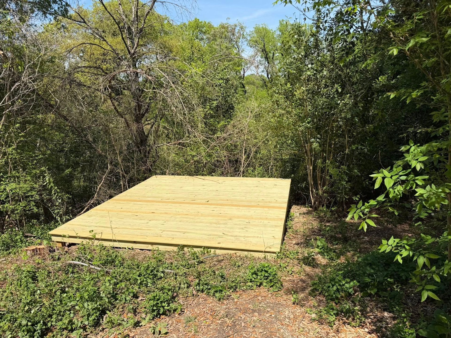 Wooden platform in a wooded clearing surrounded by dense green trees and brush