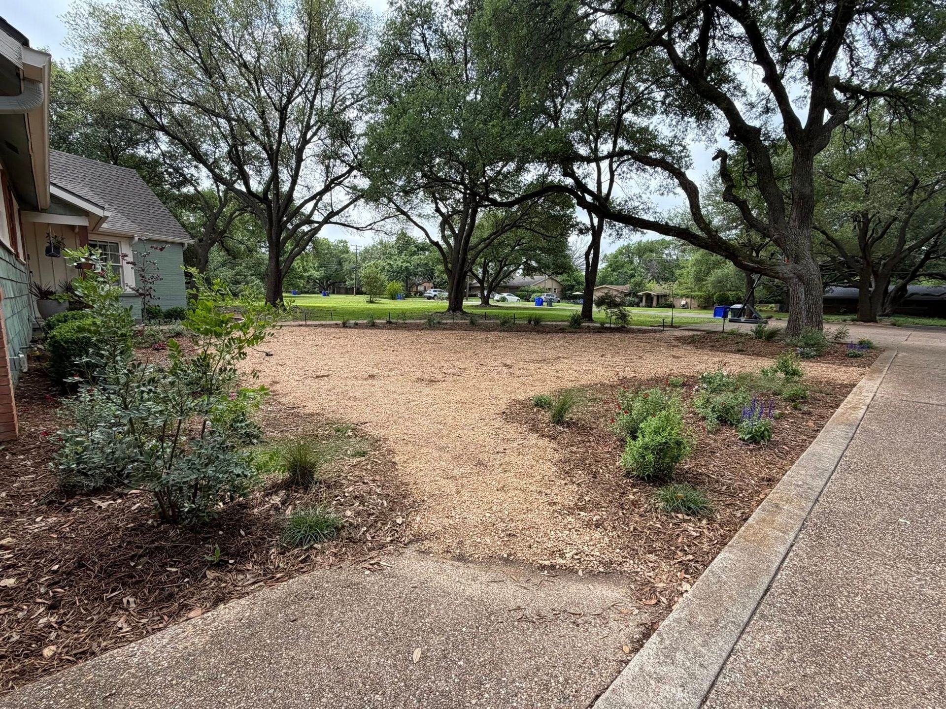 Landscaped yard with trees, mulch, shrubs, and a paved walkway beside a house