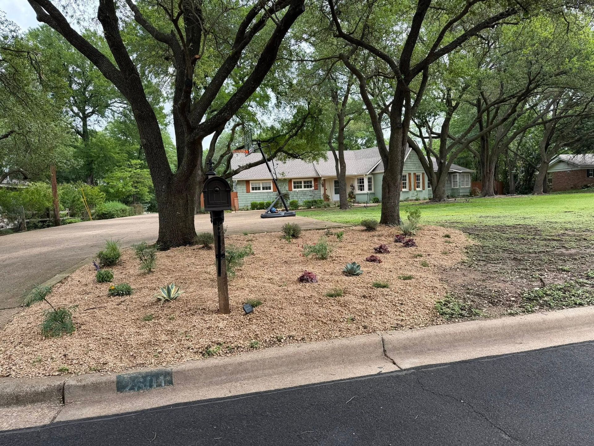 Tree-lined residential street with a mulched planting bed and curb in the foreground.