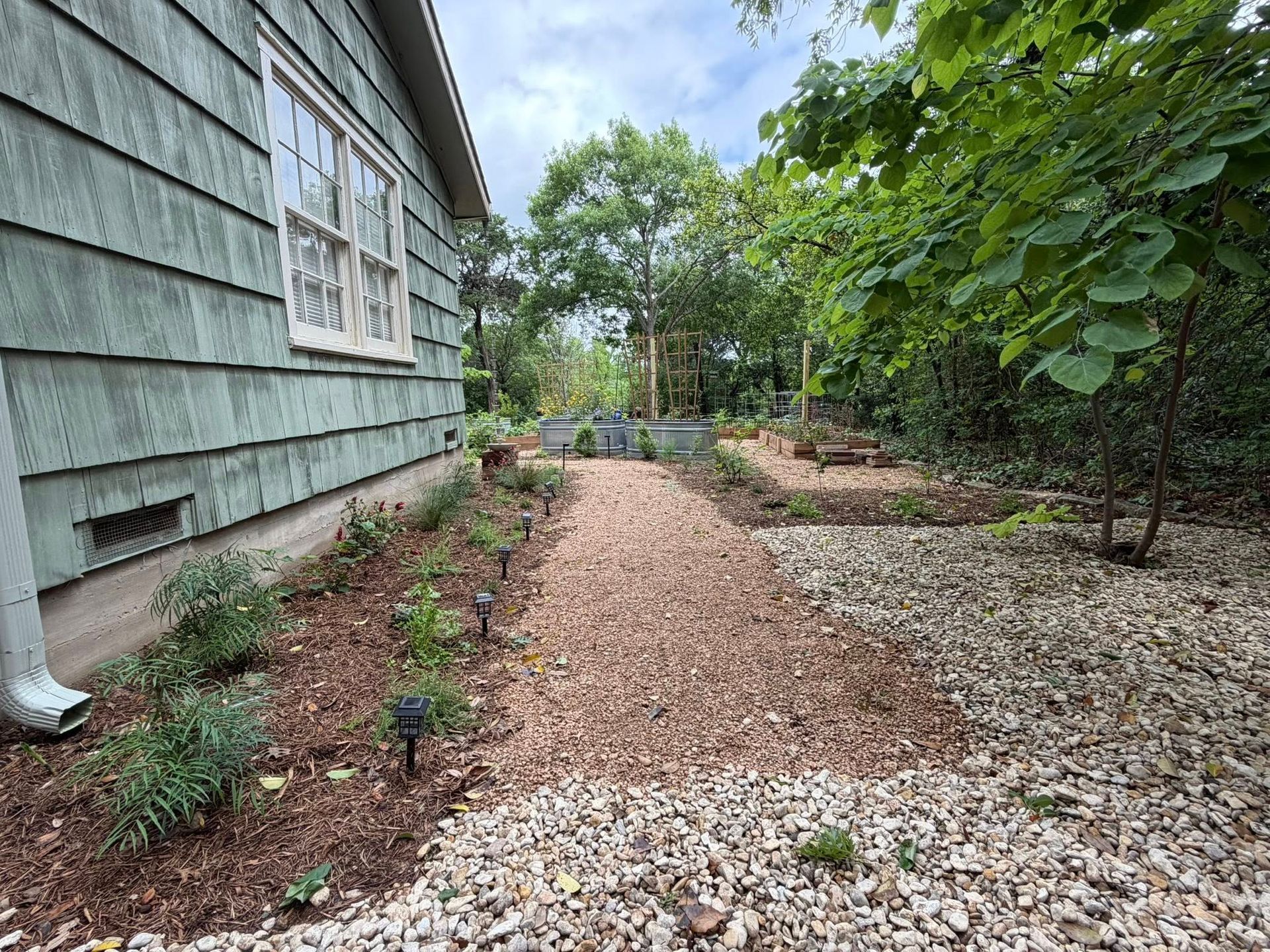 Backyard garden path beside a green house, lined with mulch, plants, and trees