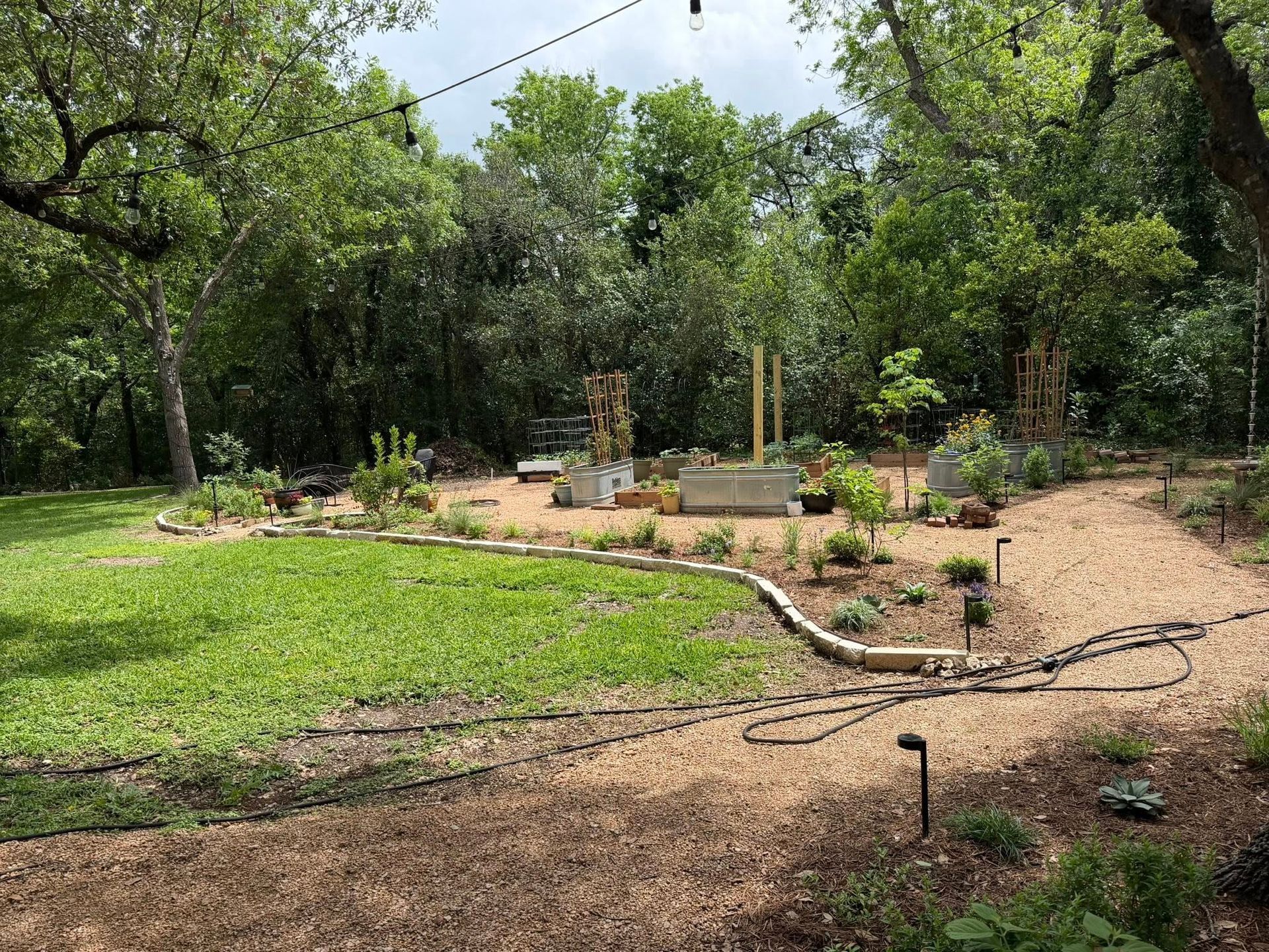 Curved garden path with young plants and trees in a green landscaped park