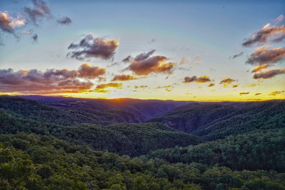 The Sun Is Setting Over a Valley Filled with Trees — Thats Tops by Design in Armidale, NSW