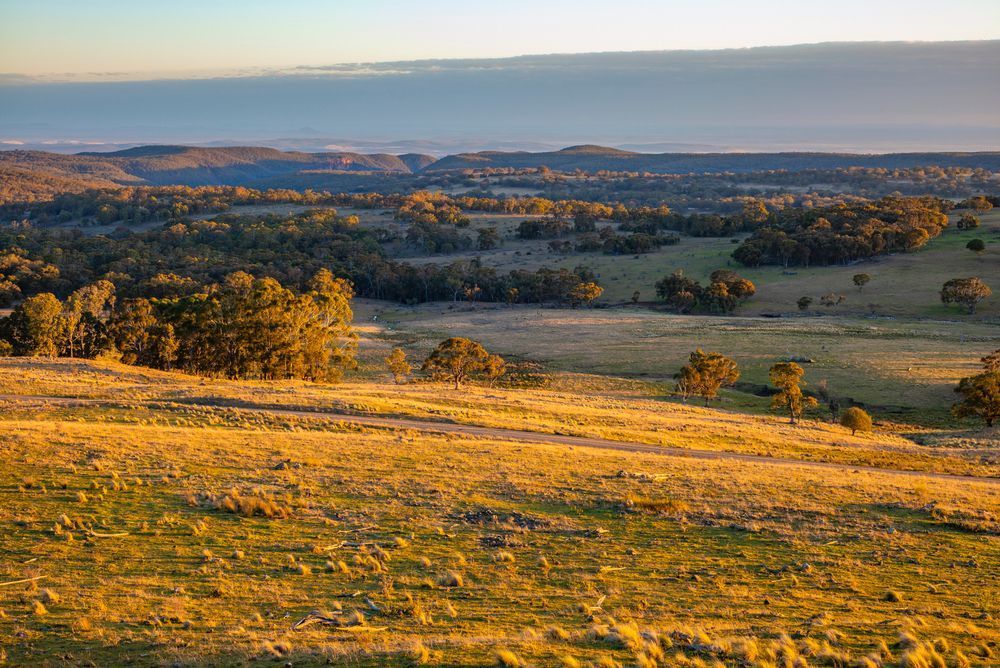 A Landscape of A Grassy Hillside with Trees and A Road in The Distance — Thats Tops by Design in Narrabri, NSW