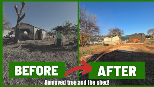 Before and after comparison showing a yard after the removal of a large tree and a shed.