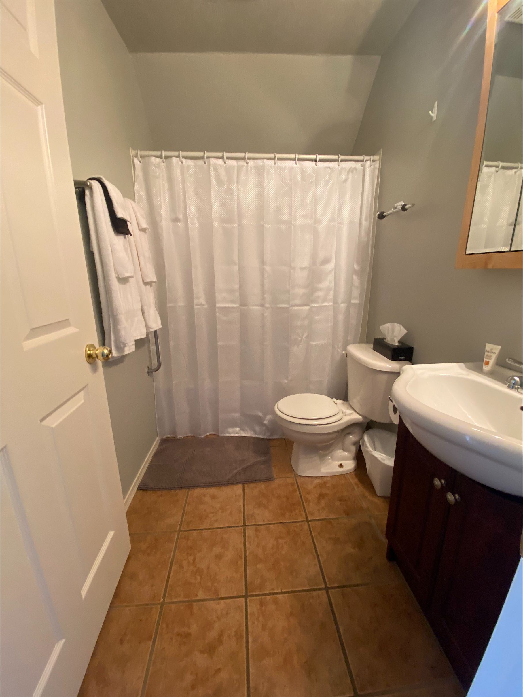 A bathroom with a toilet , sink , mirror and shower curtain.