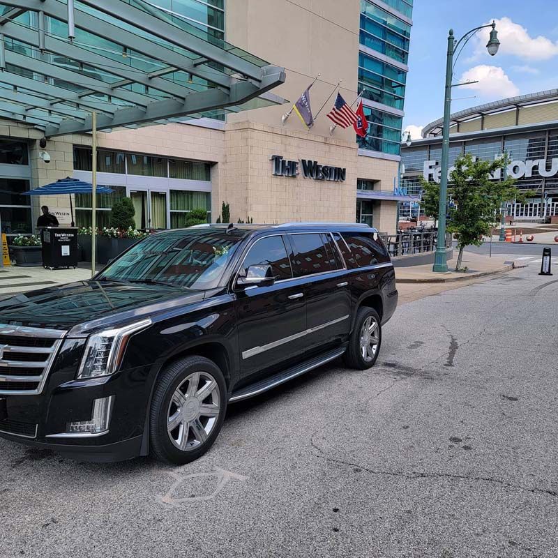 Luxury transportation vehicles with refined design