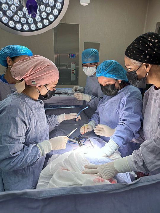 Femme Ginecología
