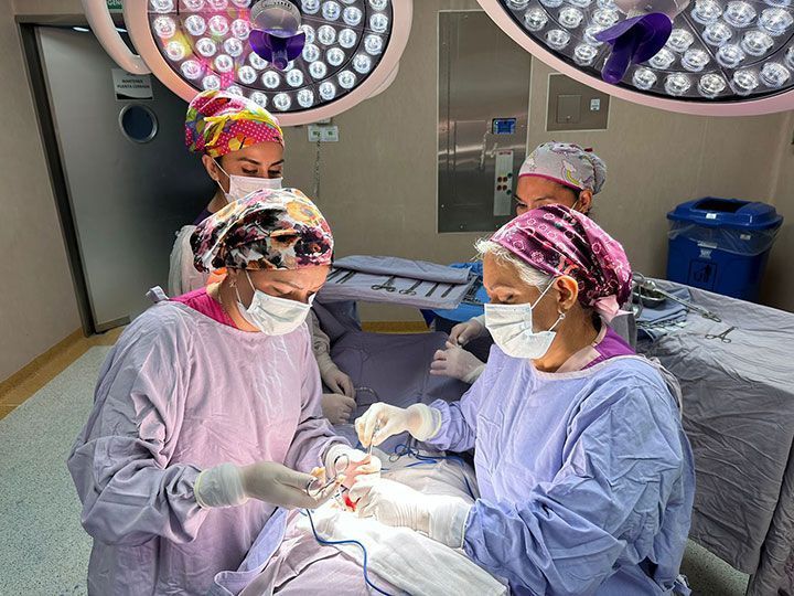 Femme Ginecología