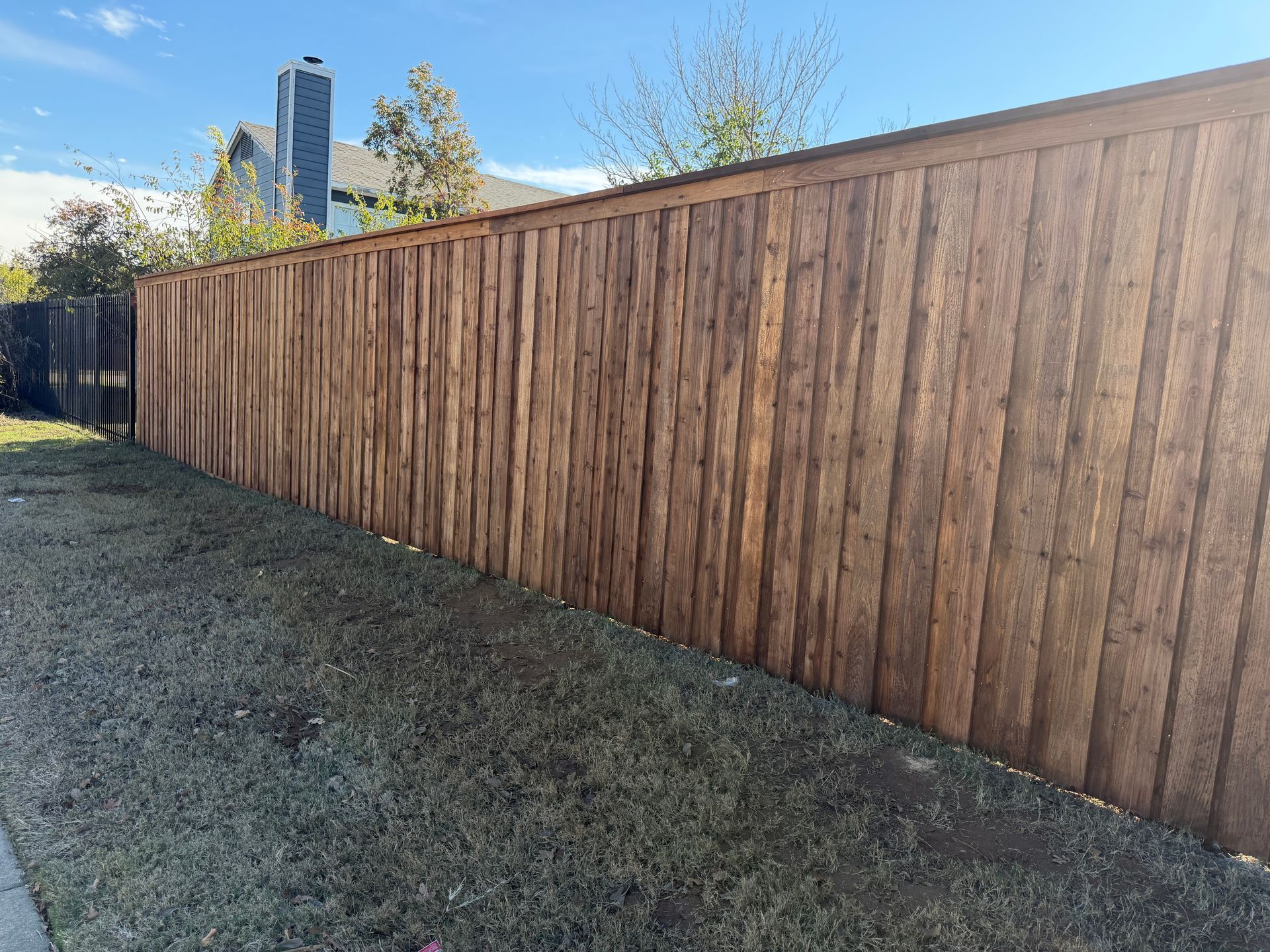 A tall, newly stained cedar wood fence stands along a gravel path in front of a house on a sunny day.